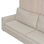 Queen Size Murphy Bed with Sofa and LED