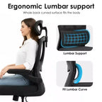 Ergonomic Mesh Office Chair with Adjustable Lumbar Support,Headrest & Flip-Up Armrests,Home Office Desk Chair for Study,Gaming Room